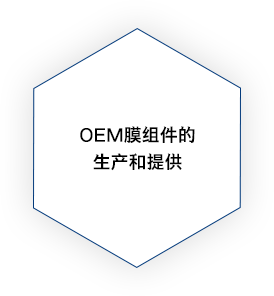 OEM膜組件的生產和提供